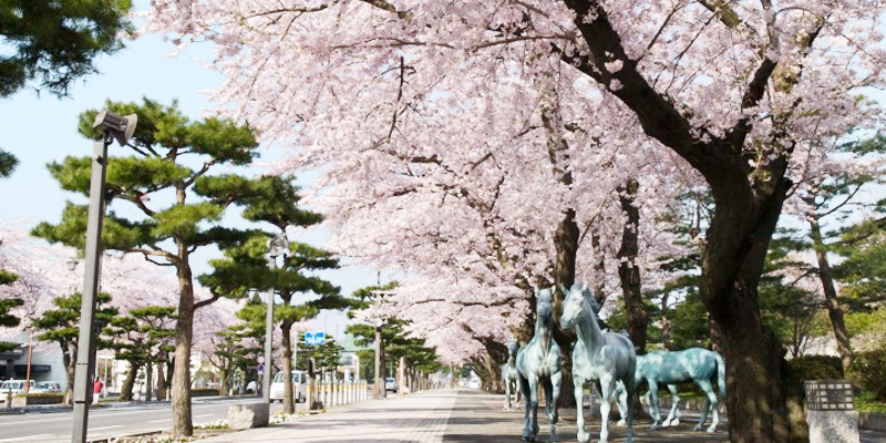 十和田官廳街通