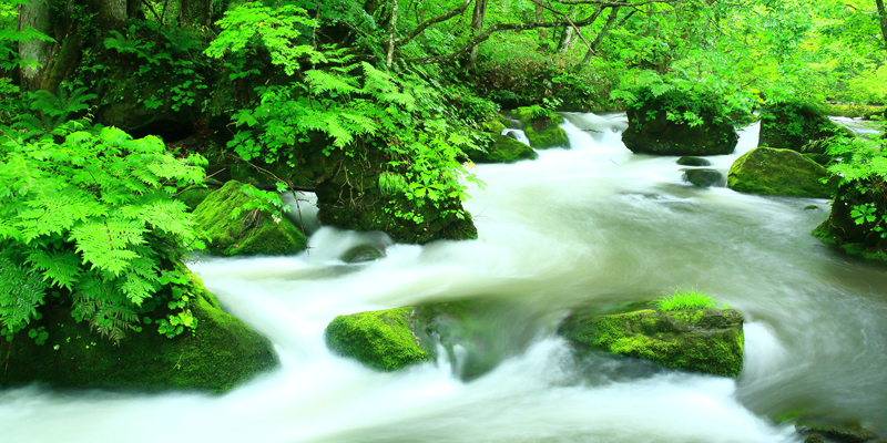 奧入瀨溪流