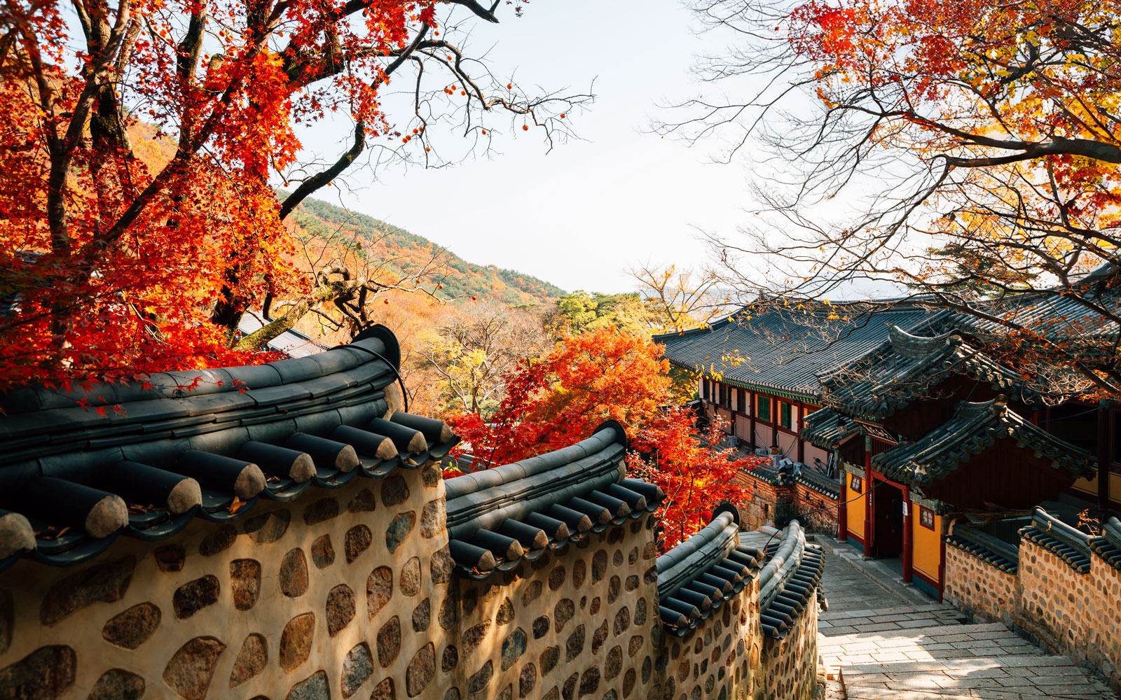 金井山、梵魚寺