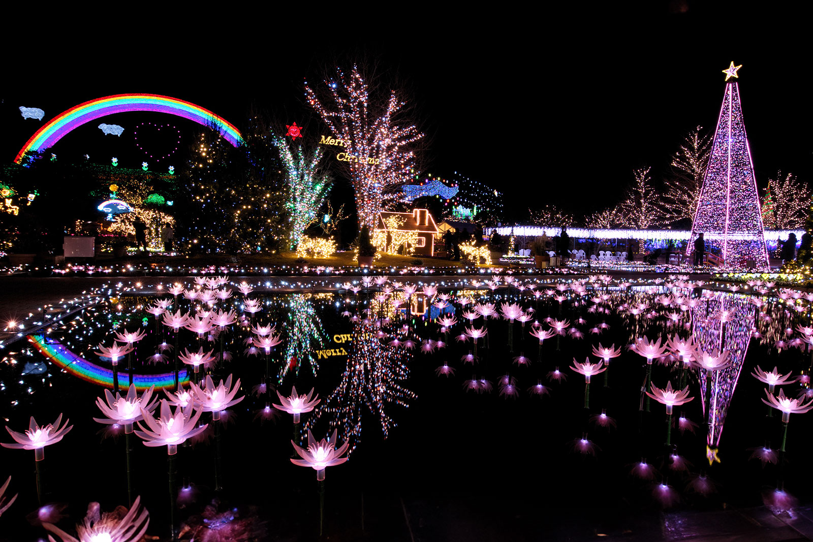 足利花卉公園「光之花庭園」