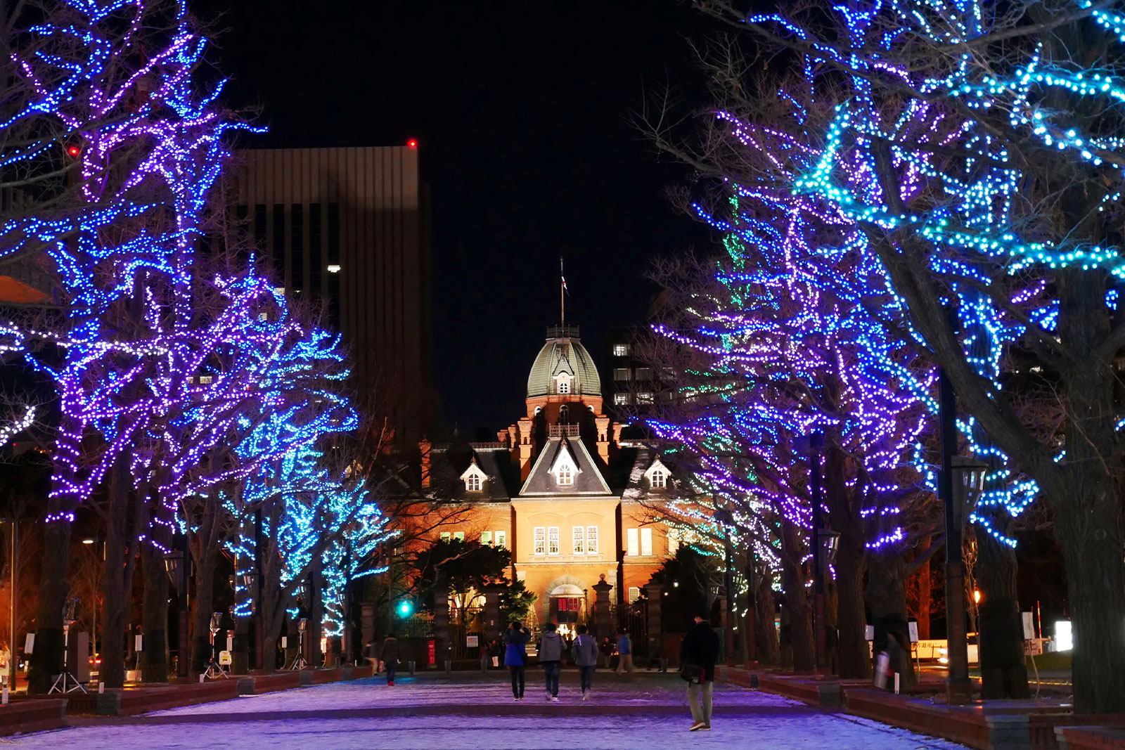 札幌白色燈樹節