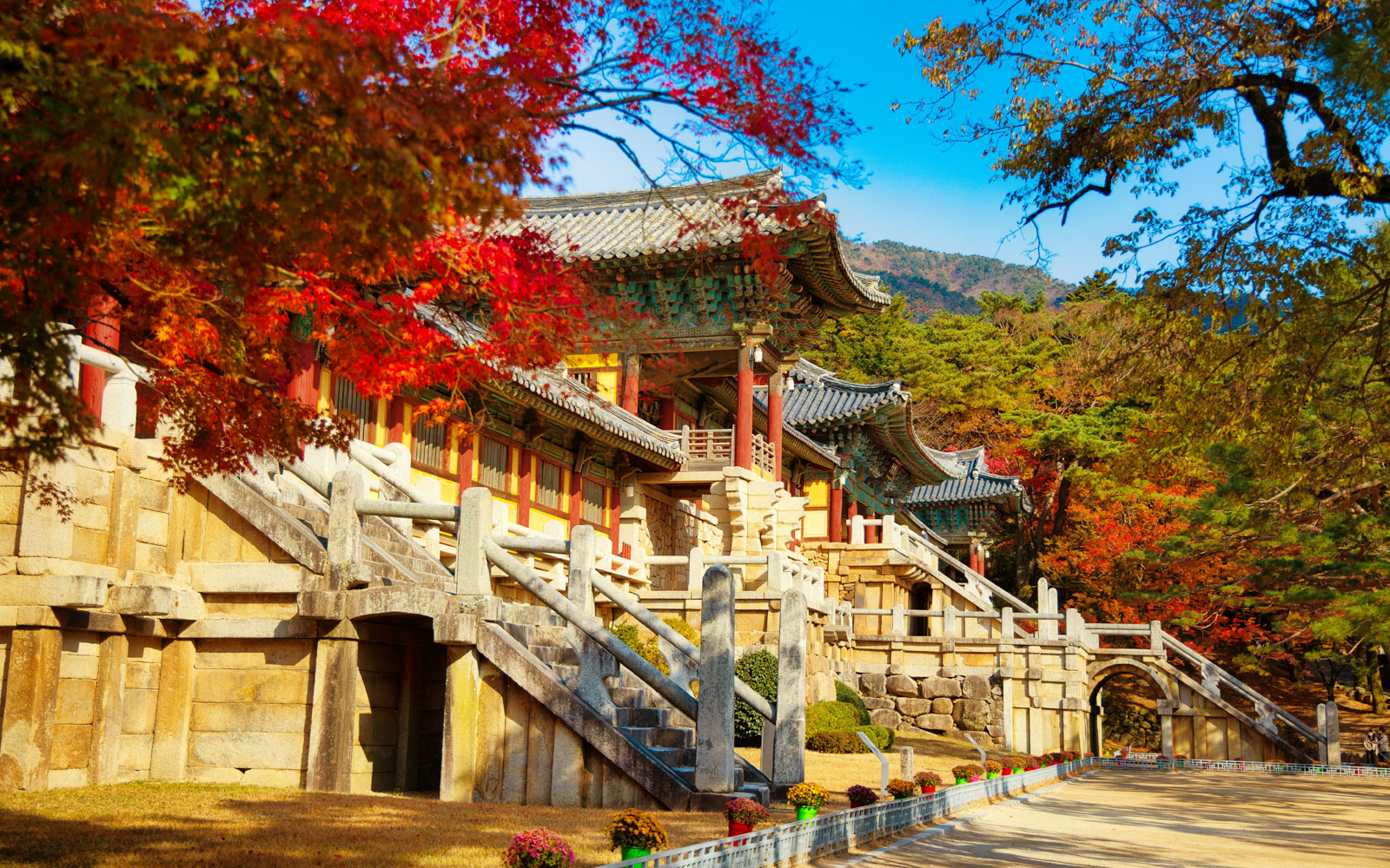 慶州佛國寺