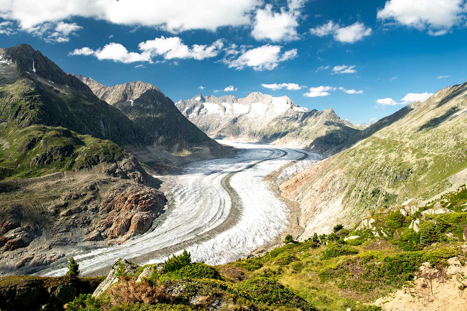 阿雷奇冰河 Aletsch Glacier