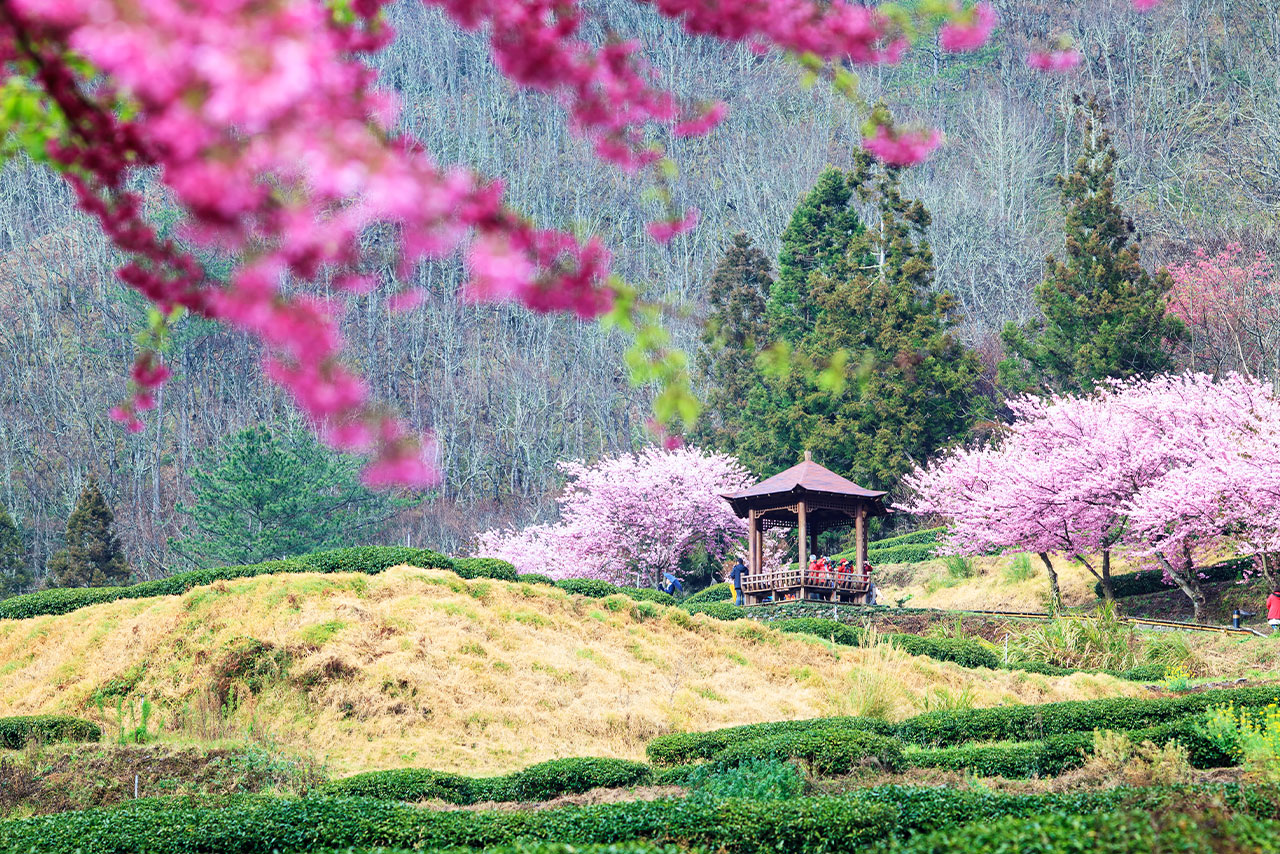 國內旅遊 • 探索自然、享受美食