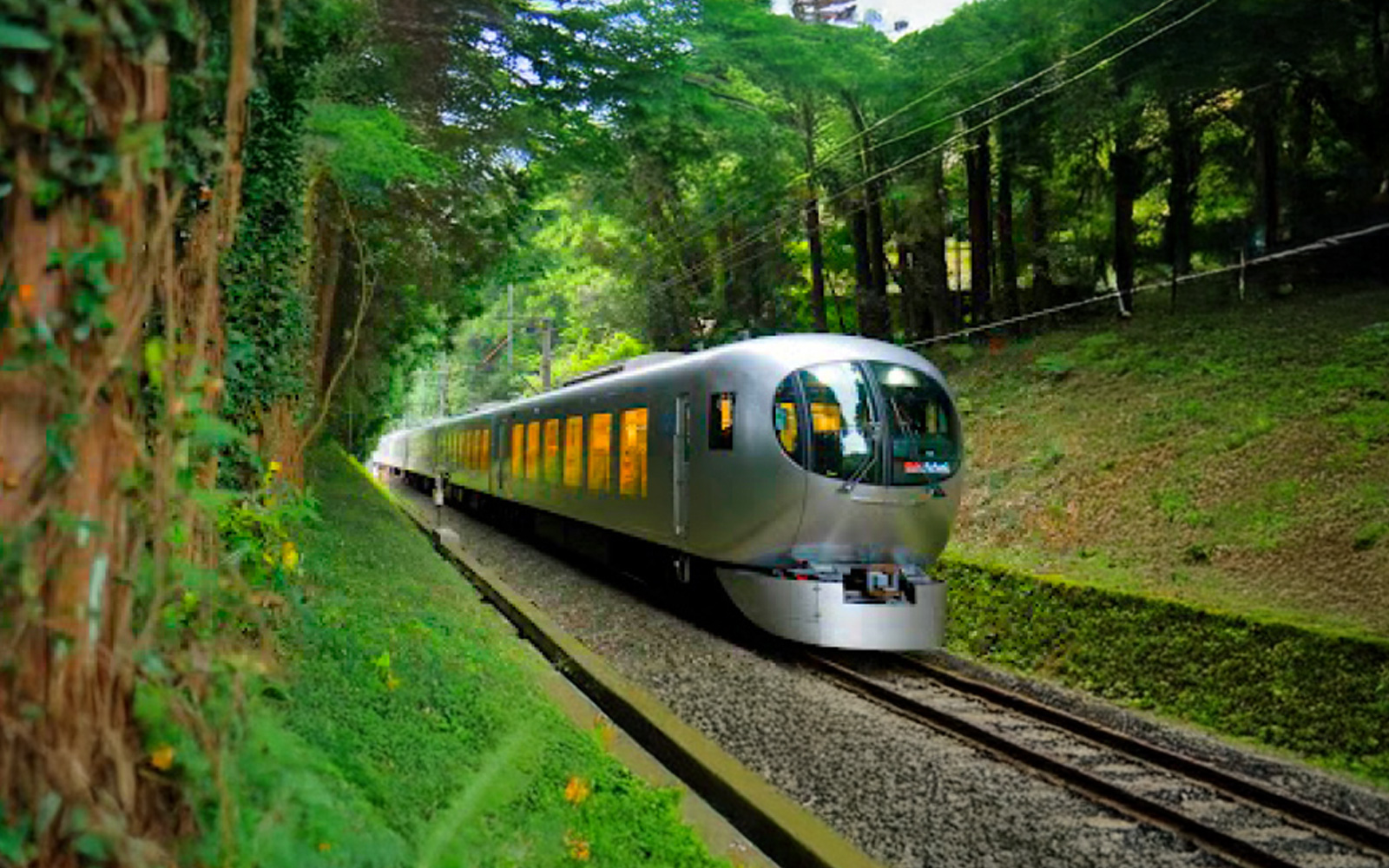 西武特急列車Laview