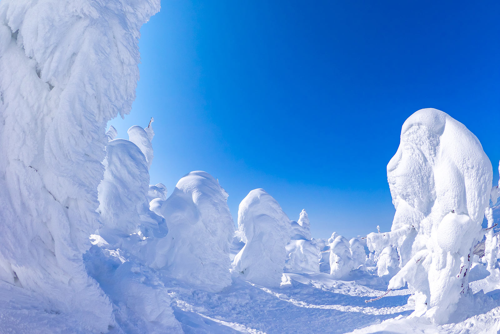 藏王樹冰-SNOW MONSTER雪怪的樹冰